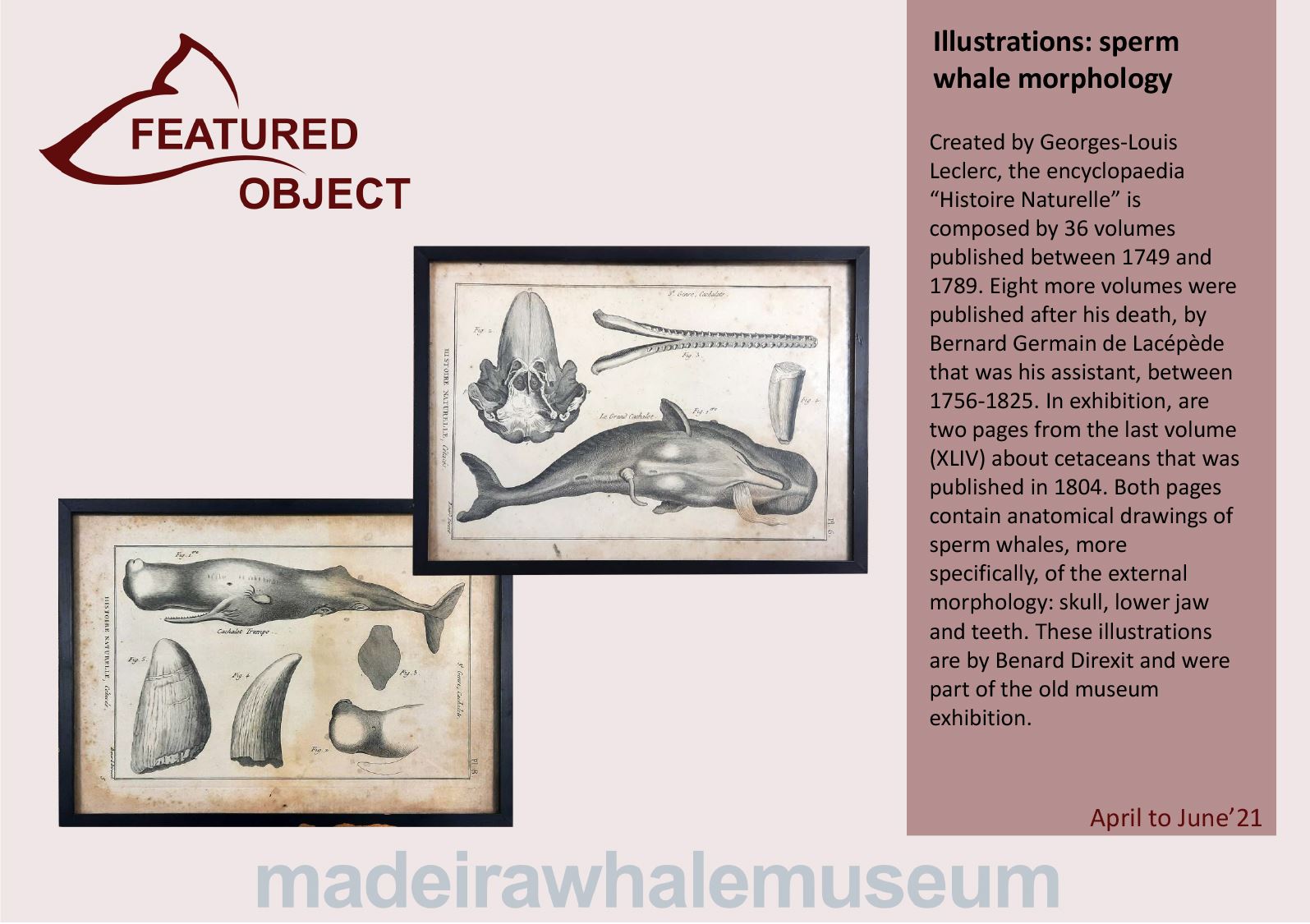 Pea em destaque - 2 trimestre 2021 ingl