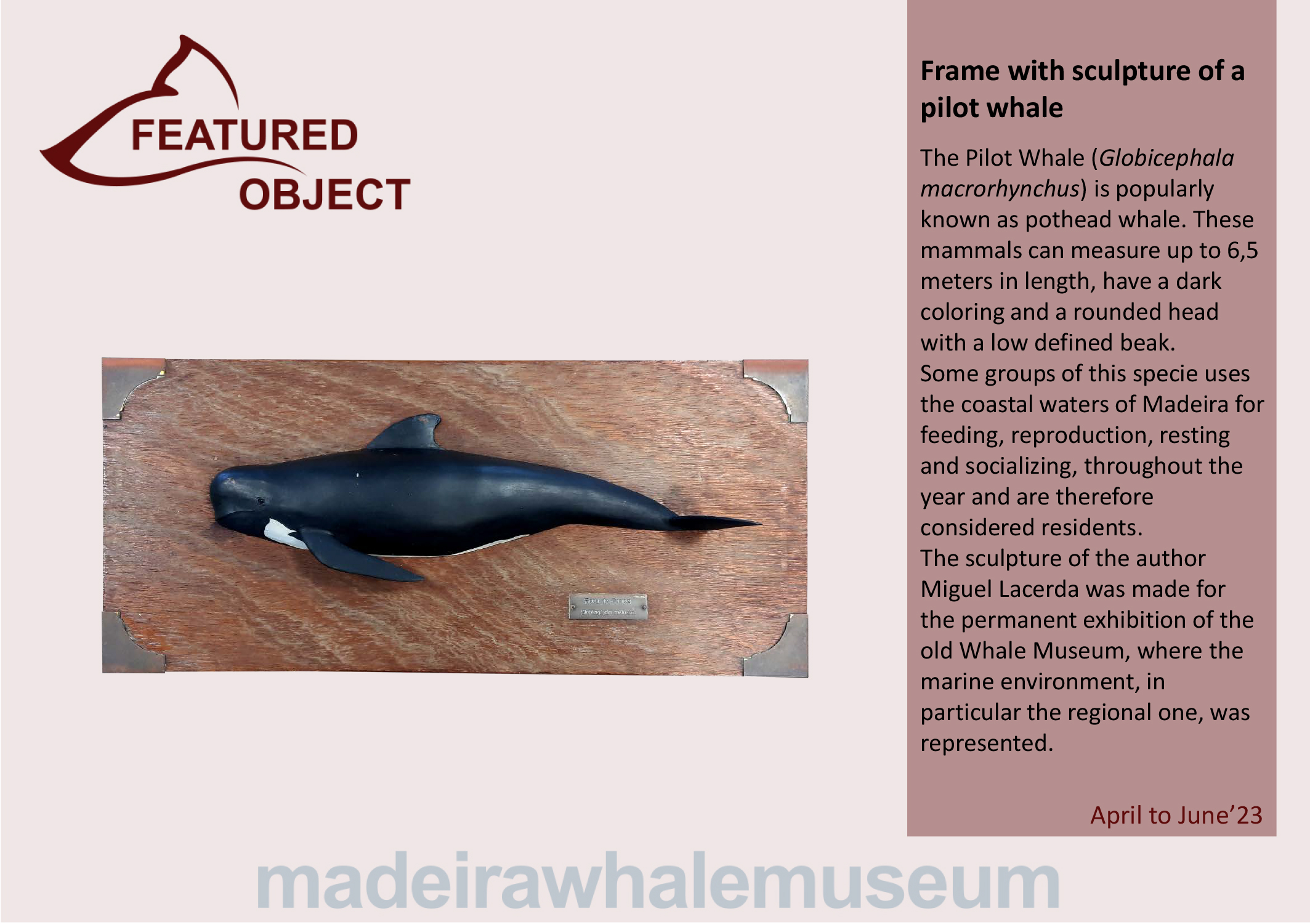 Pea em destaque - 2 trimestre 2023-ingl