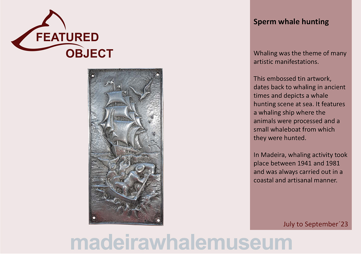 Pea em destaque - 3 trimestre 2023-Ingl