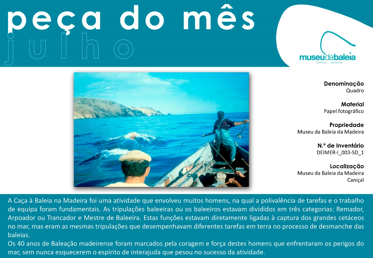 Peça do Mês - julho 2016-port