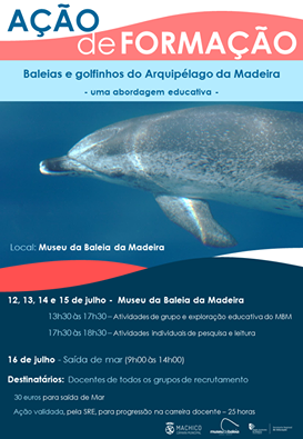 13445331 979839502114616 3242325966294577474 n