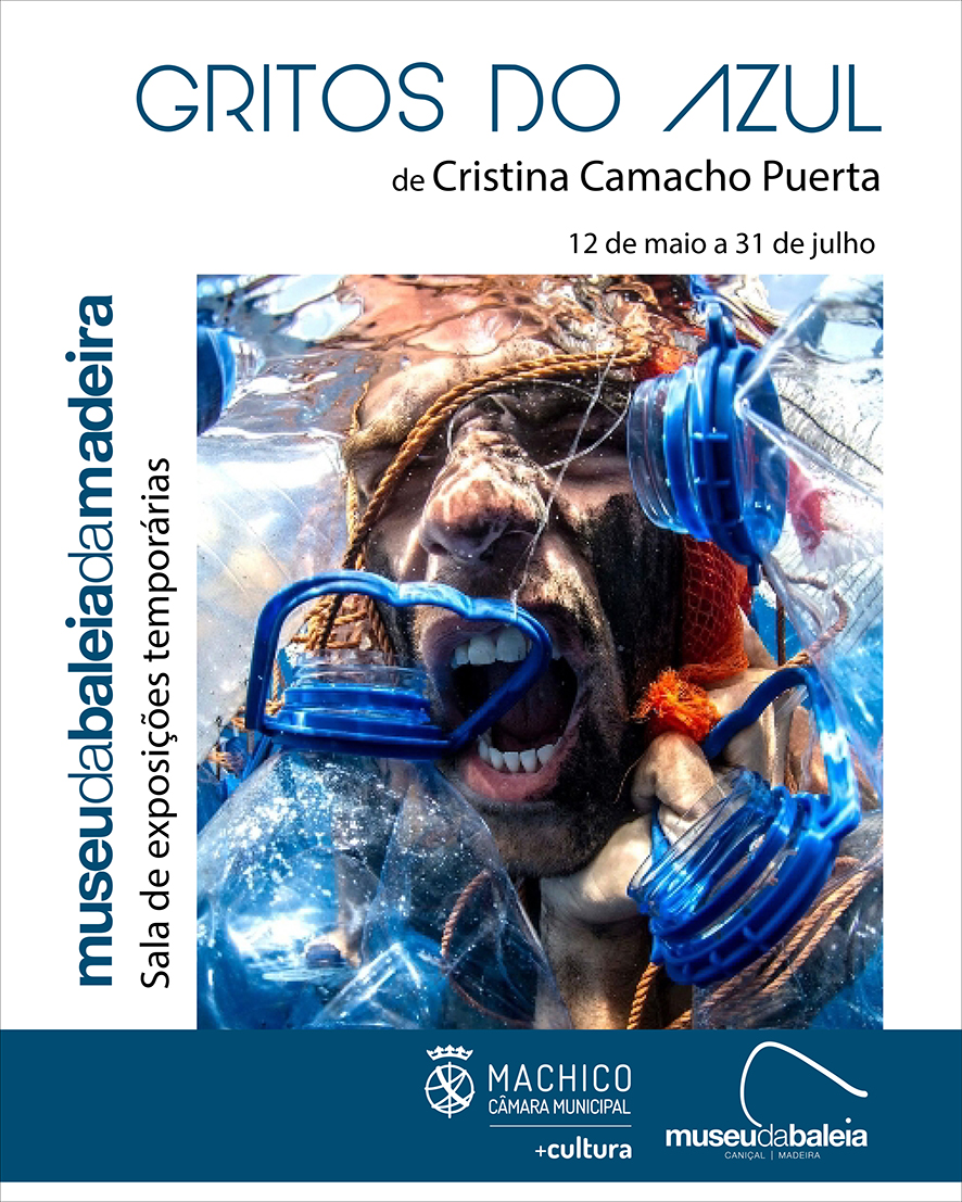 Cartaz Gritos do Azul face