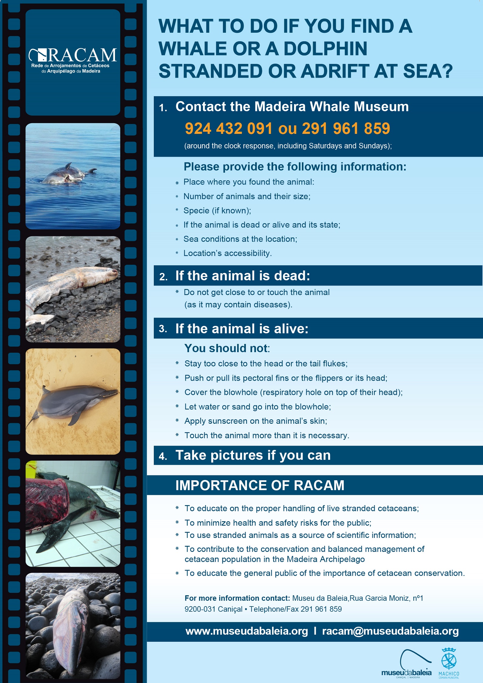 Cartaz RACAM novo - Ingls