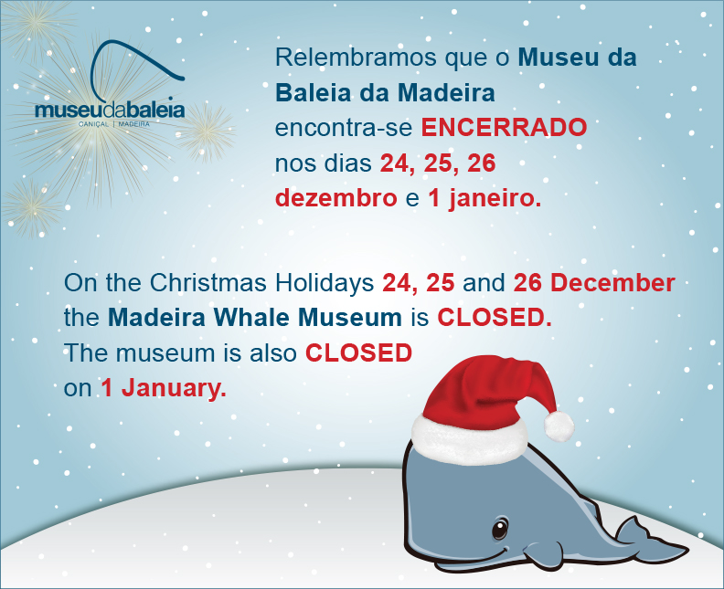 Cartaz encerramento 2022