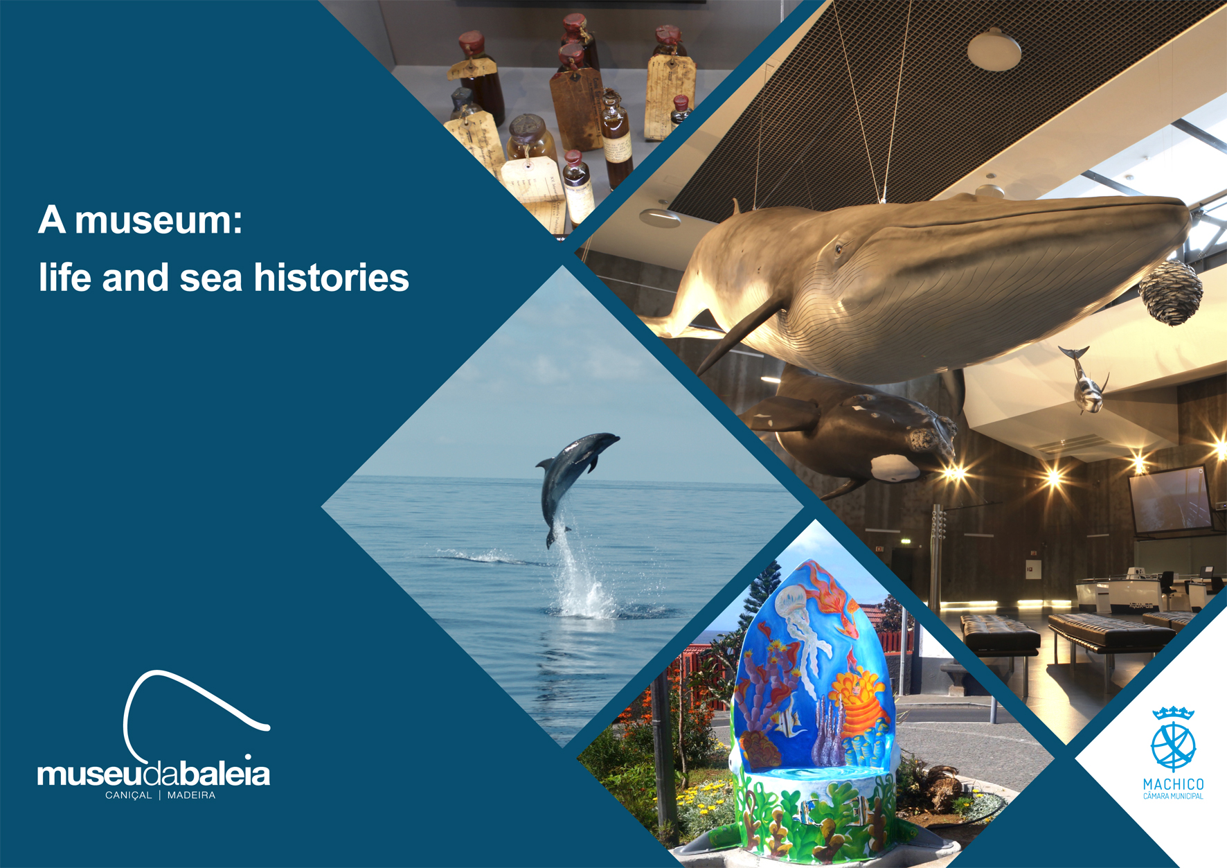 Cartaz Exposio Museu - Ingl