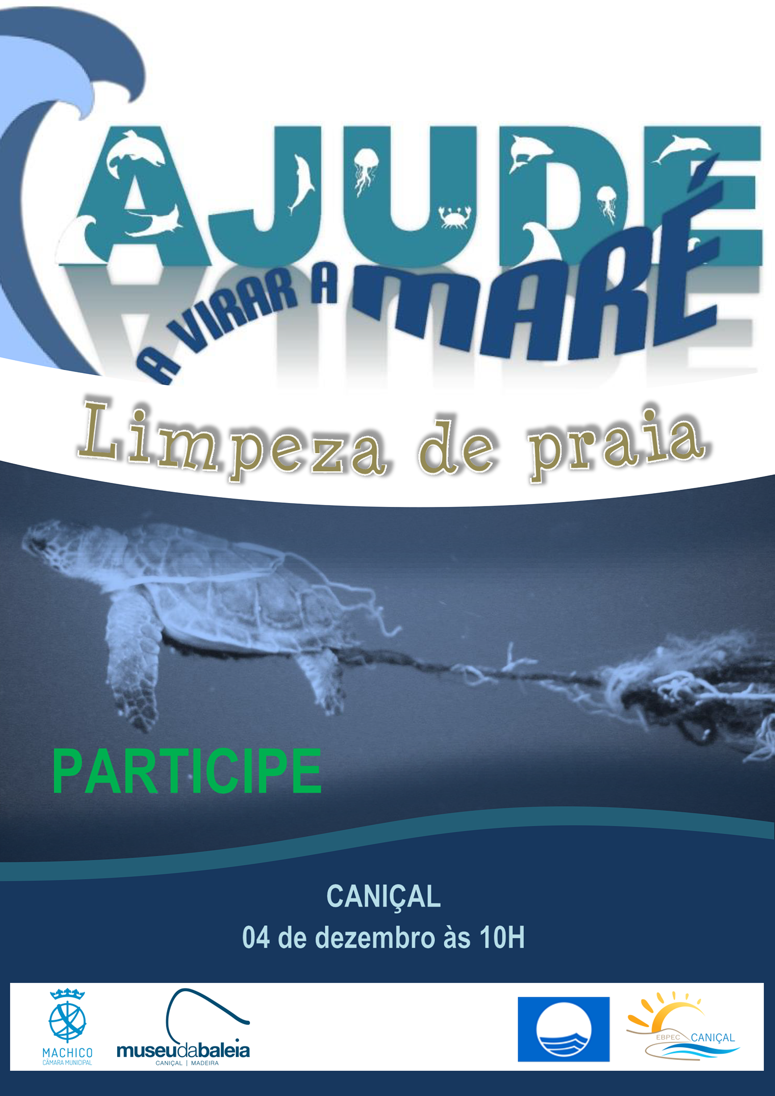 Limpeza de praia Novembro 2024