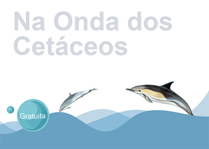 Na ondas dos cetaceos 2025-26