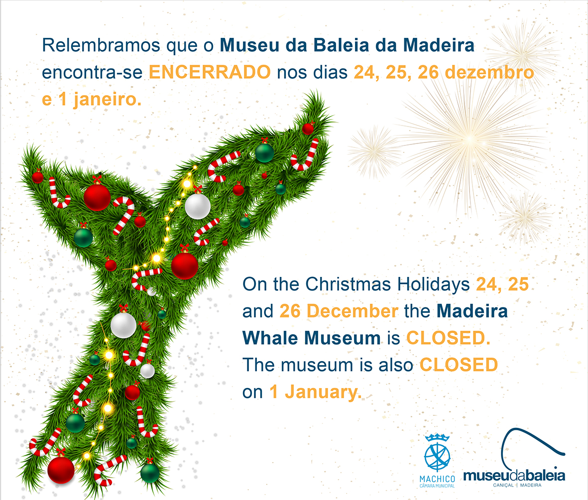 Natal 2021 ENCERRAMENTO