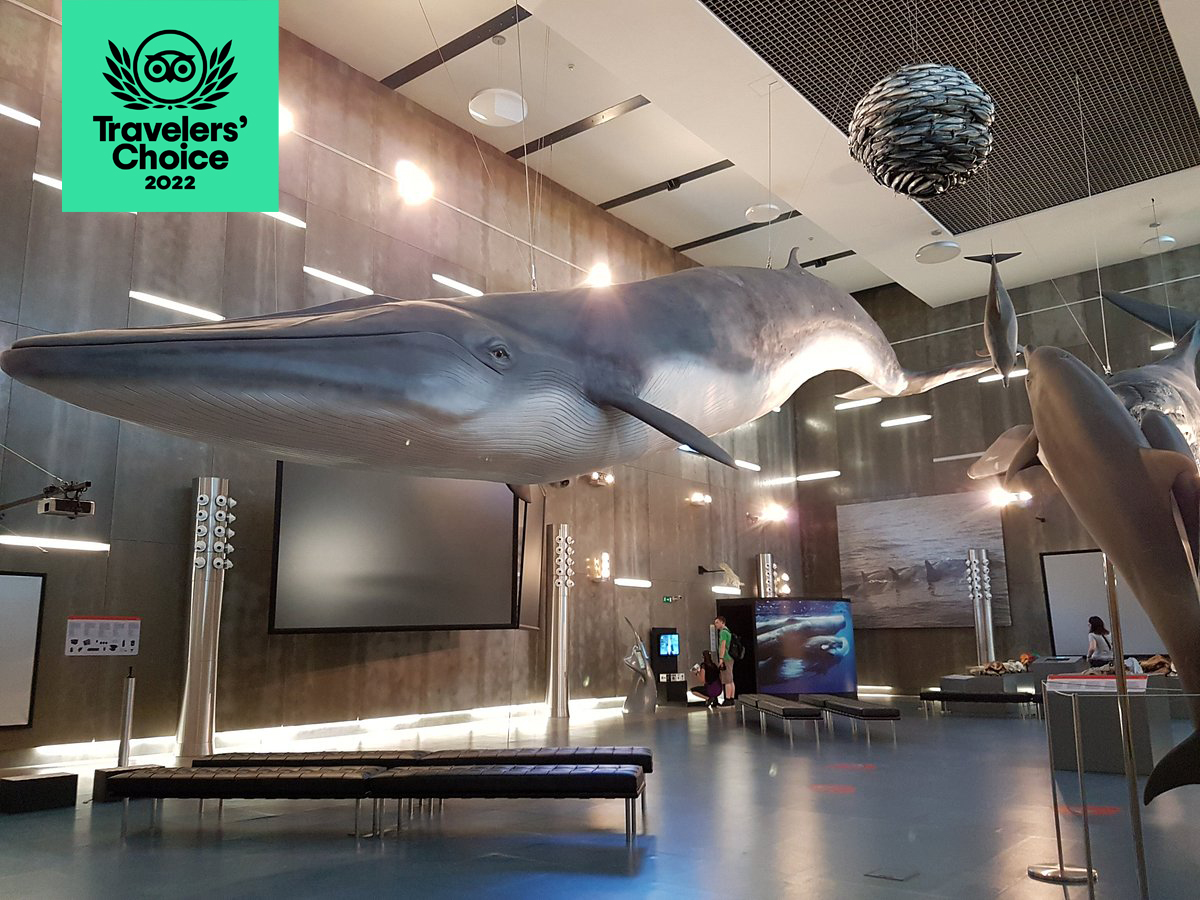 Travelers Choice 2022