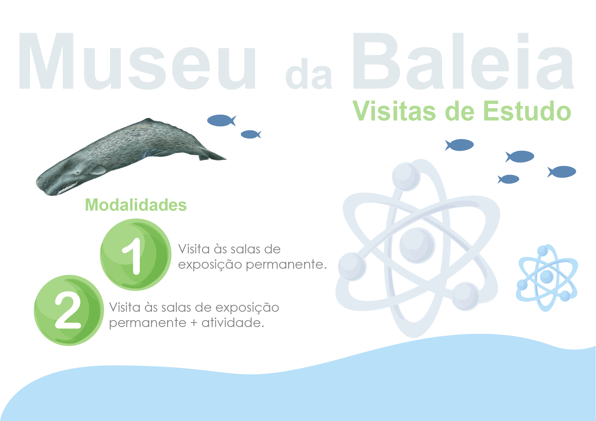 Visitas de estudo
