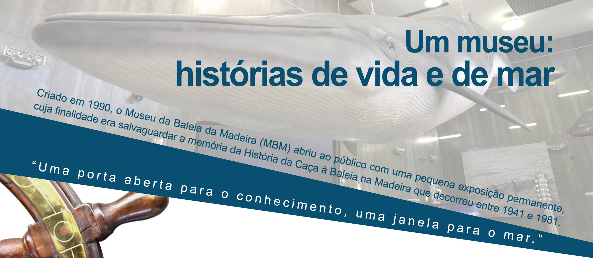 logo um museu historias de vida e de mar