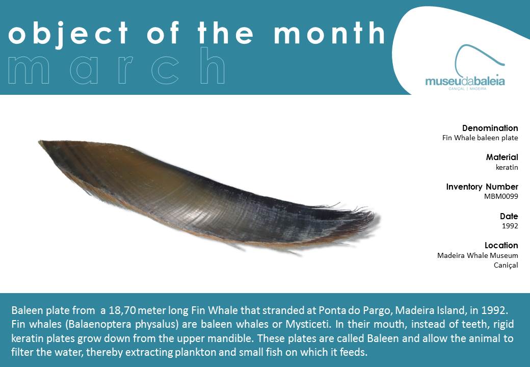 peça do mes março 2016 EN