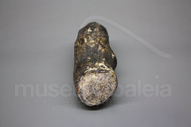 Pedra de âmbar retirada das vísceras de um cachalote